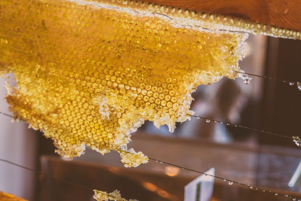 partially drawn honeycomb on a hive frame